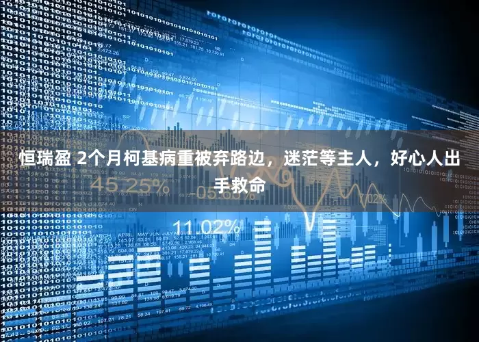 恒瑞盈 2个月柯基病重被弃路边，迷茫等主人，好心人出手救命